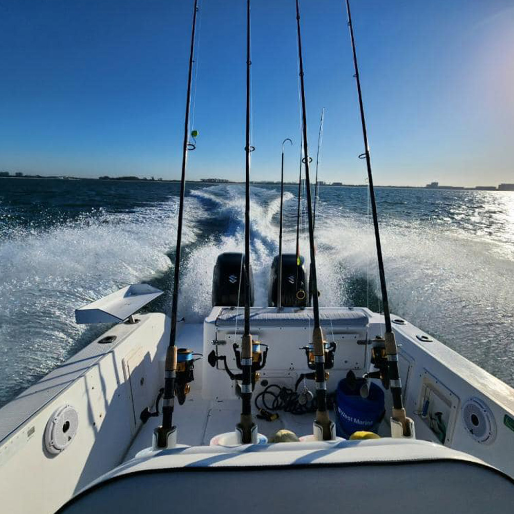 Things To Do https://fishcove.icnd-cdn.com/images/thingstodo/DB97D36Fcharters.jpg